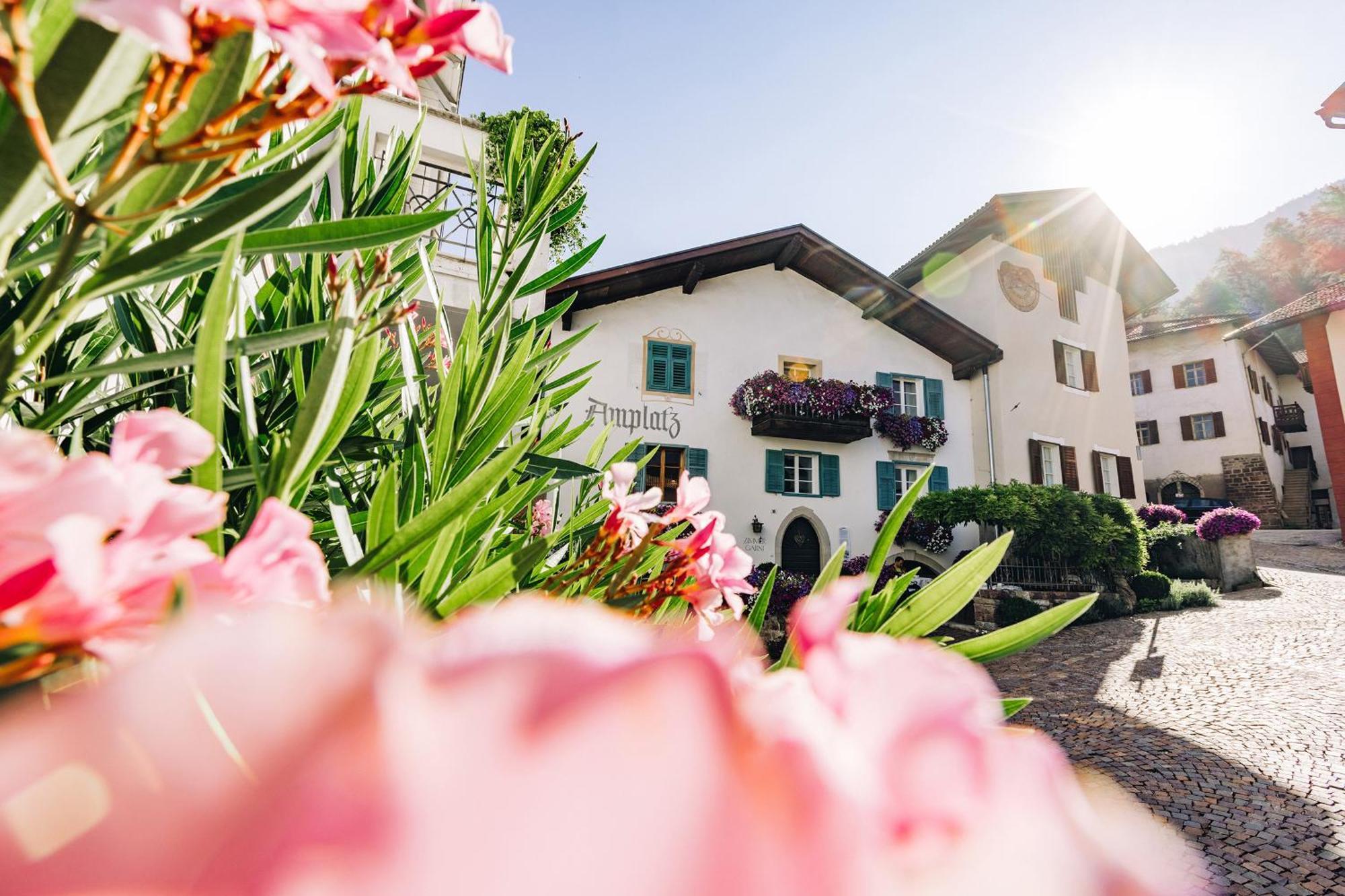 Amplatz 1523 - B&B And Suites モンターニャ エクステリア 写真